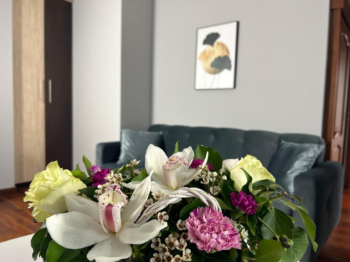 Mala Italia Apartments Breslavia Esterno foto